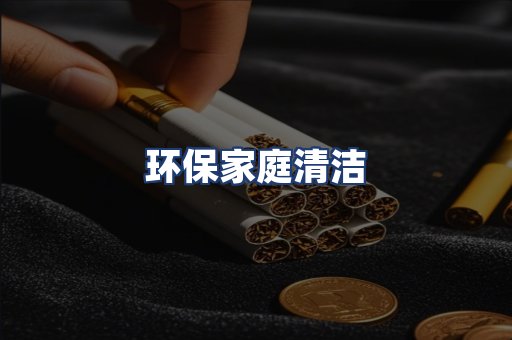 环保家庭清洁